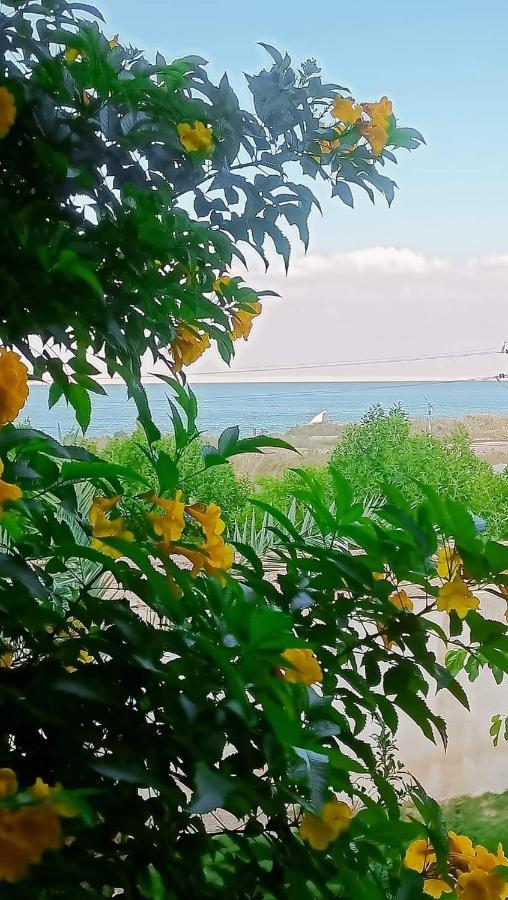 Kayan House Villa Tunis ภายนอก รูปภาพ