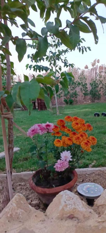Kayan House Villa Tunis ภายนอก รูปภาพ
